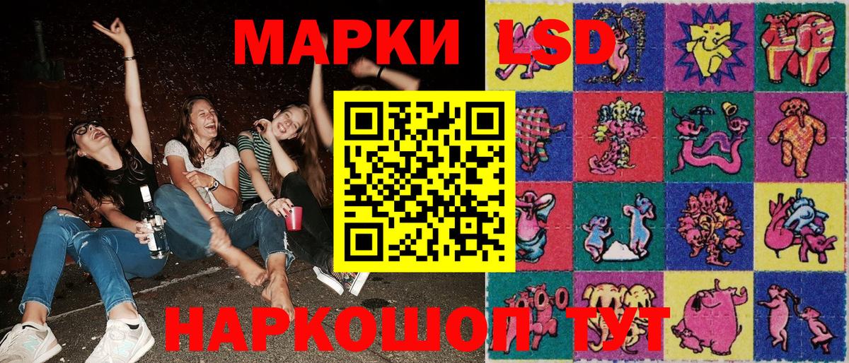 Псилоцибиновые грибы Городец