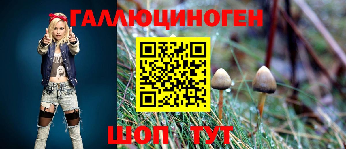 Галлюциногенные грибы мухоморы  Псилоцибиновые грибы Psilocybine cubensis  Вход с VPN  Городец 