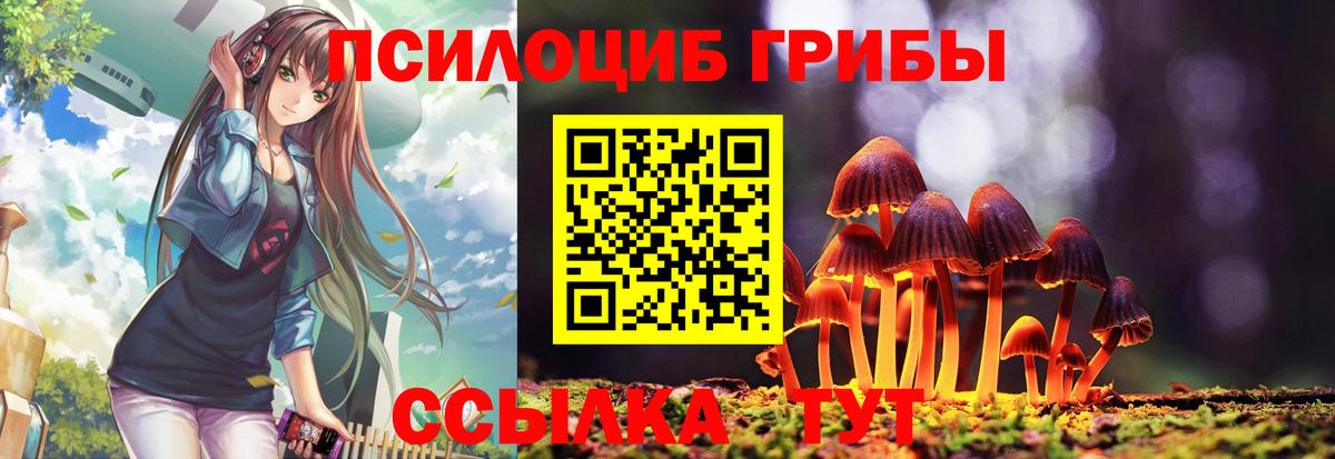 Галлюциногенные грибы Psilocybine cubensis Городец